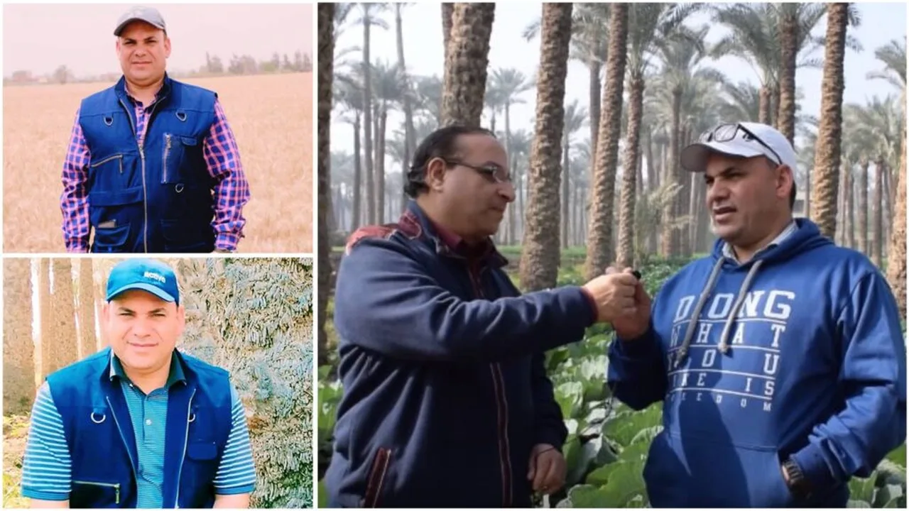 طقس مثالي يدعم المزارعين في إنجاز العمليات الزراعية بسرعة وسهولة تامة